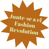 Brazil Sticker by Fashion Revolution