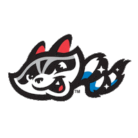 Minor League Baseball Raccoon Sticker by Rocket City Trash Pandas