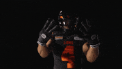 Football Vancouver GIF by BC Lions