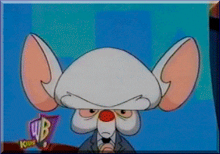 Pinky And The Brain Crypto GIF by DONUTs