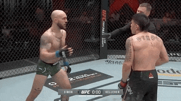 Brian Kelleher Sport GIF by UFC