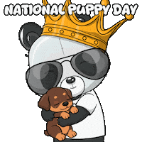 Puppy Love Dog Sticker by PandaPals