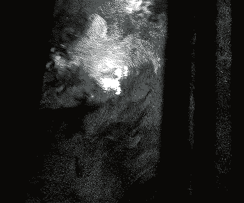 film talking GIF by Dax Norman