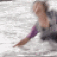 gifs for ants GIF