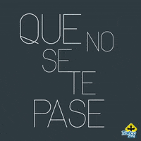 GIF by traficozmg