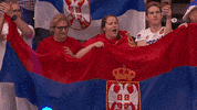 Happy Sport GIF by Volleyball World