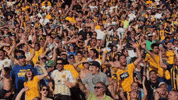 Rosariocentral GIF by Club Atlético Rosario Central
