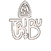 Sinergia_Tribu tribu sinergia sinergiatribu sinergia tribu Sticker