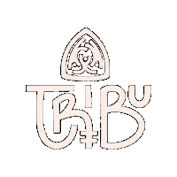 Sinergia_Tribu tribu sinergia sinergia tribu sinergiatribu Sticker