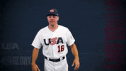 Pro GIF by USA Baseball