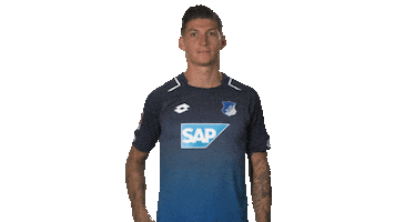 happy tsg hoffenheim Sticker by Bundesliga