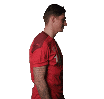Steven Zuber Switzerland Sticker by Swiss Football Association