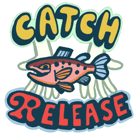 Second Hand Fishing Sticker by recast market