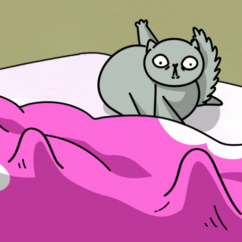 Nervous Cat GIF by KETNIPZ