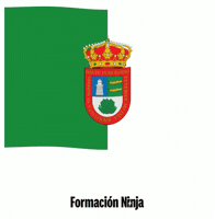 Santa Cruz De Tenerife Bandera GIF by Formación Ninja