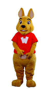 WalibiRA look swipe point click Sticker