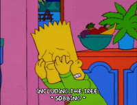 bart simpson episode 10 GIF