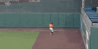 college baseball sport GIF by NCAA Championships