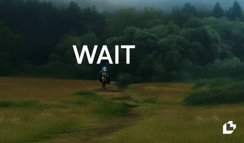 Monty Python Wait GIF by LitVM