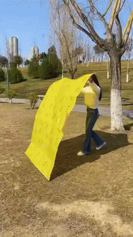 letscartpk giphyupload GIF
