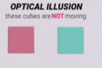 Optical Illusion GIF