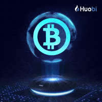 Bitcoin Crypto GIF by Huobi