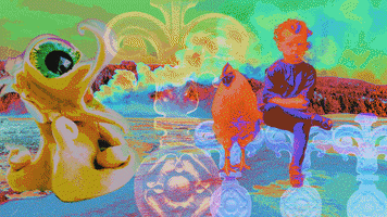 Rainbow Lighting Up GIF by daisy maize