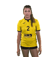 USC_Muenster ball volleyball shrug vbl Sticker