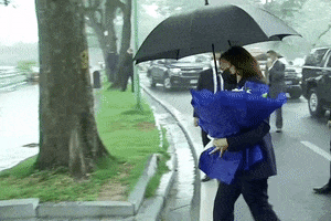 Kamala Harris GIF by GIPHY News