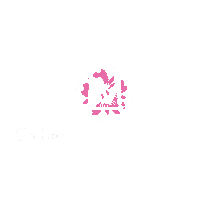 LashMoi bowie annapolis lash moi crofton Sticker