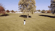 Music Video Model GIF