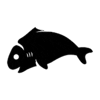 Pescarestaurant pesca pesca restaurant pesca amsterdam theatre of fish Sticker