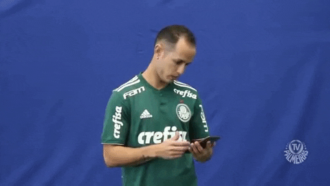 telephone cell phone GIF by SE Palmeiras