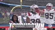 National Football League GIF by NFL