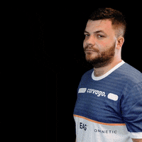 Team Esports GIF by VirtualGP