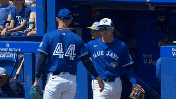 Blue Jays Mlb GIF by Toronto Blue Jays
