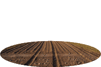 Agro Sticker by ZT Sementes