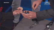 elhormiguero el hormiguero hormiguero GIF