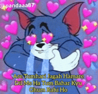 Cat Love GIF