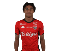 Ligue 2 Football Sticker by EA Guingamp