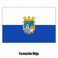 Flag Pixel Art GIF by Formación Ninja