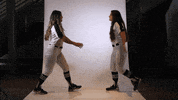 Nsu GIF by RiverHawk Sports