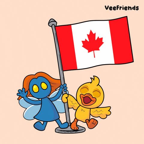 Canadian World GIF by VeeFriends