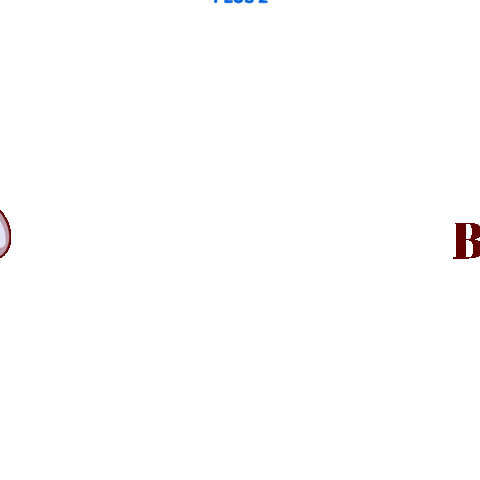 Kktc Sticker by remax plus 2