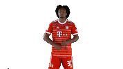 Football Soccer Sticker by FC Bayern Munich