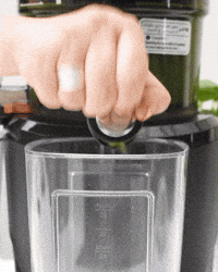 Vegan Juicing GIF by Kuvings