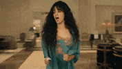 Liar GIF by Camila Cabello
