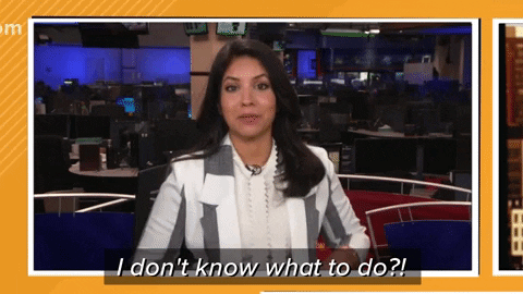 erinpowell9newscom giphyupload GIF