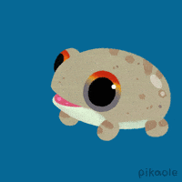 Tree Frog GIF by pikaole