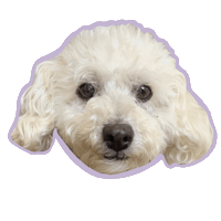 Yr Sticker